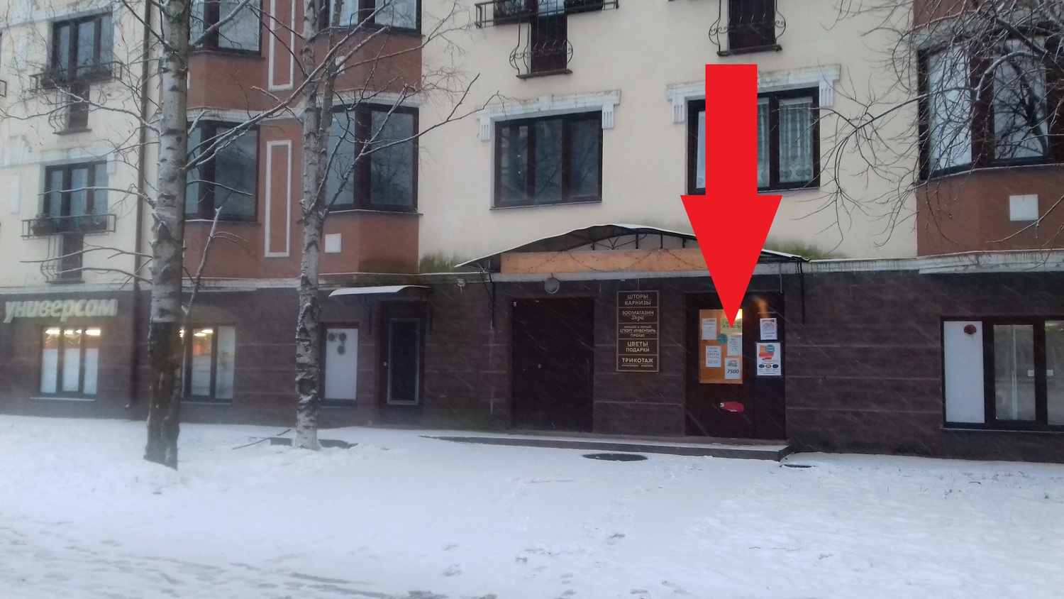 \"ПрокатПушкин\" - контакты, адрес пункта прокат в Пушкине, карта